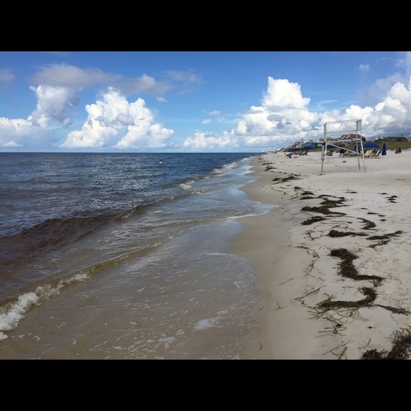 Meet your Posher, Katrina - Picture 1 of 1